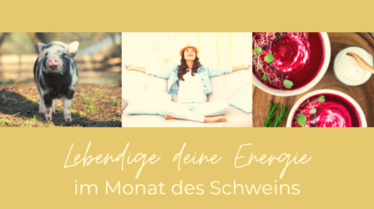 Energy-Talk-mit-Birgit-Steffi November-5 Elemente - lebendige deine Energie.