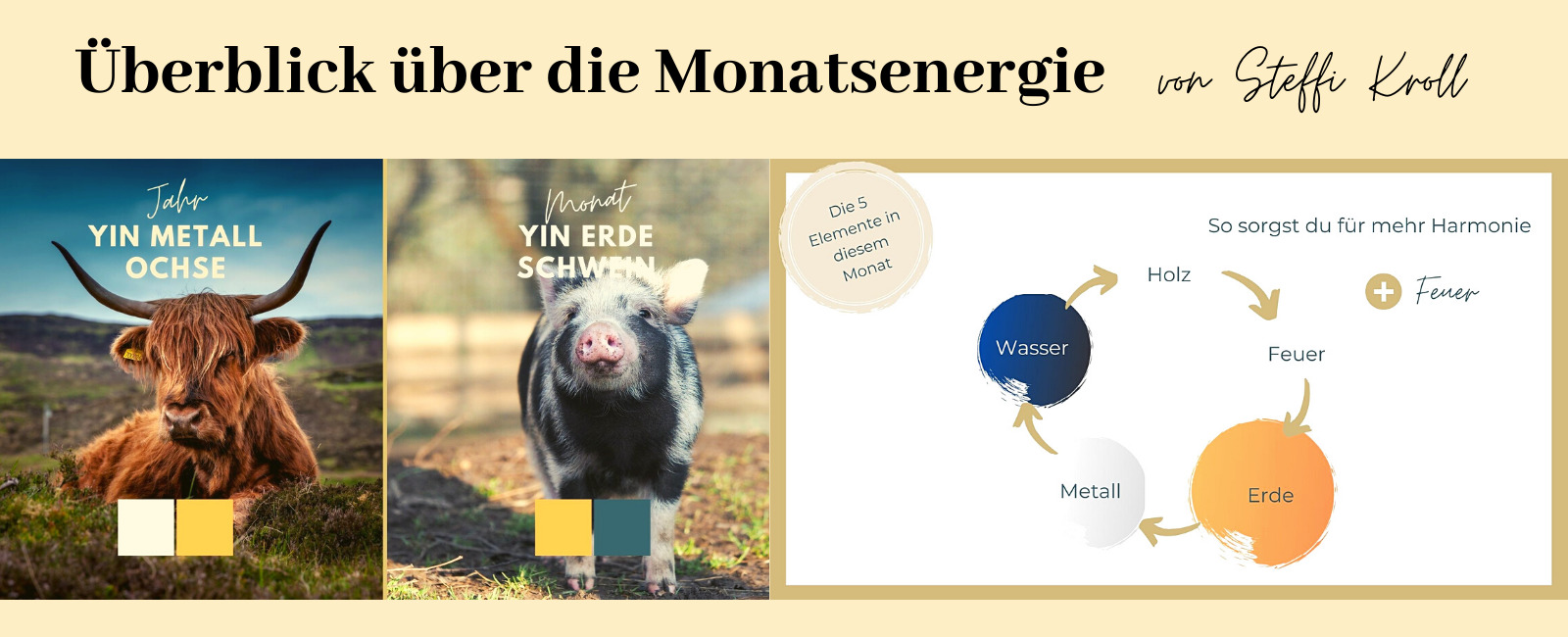 Ueberblick-ueber-die-Monatsenergie-von-Steffi-Kroll-November