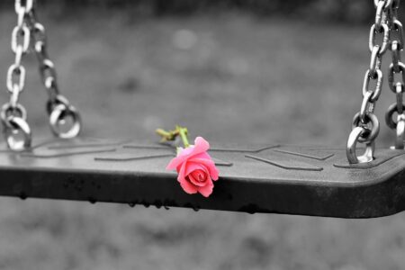 K pink-rose-on-empty-swing-3656894_1920-1